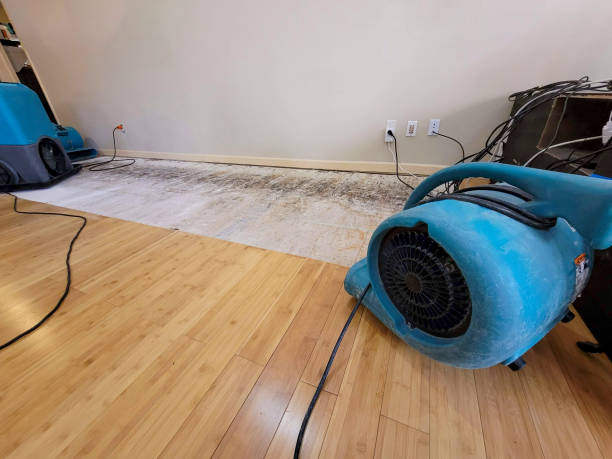 Professional Water Damage Repair technician working in Tecate, CA